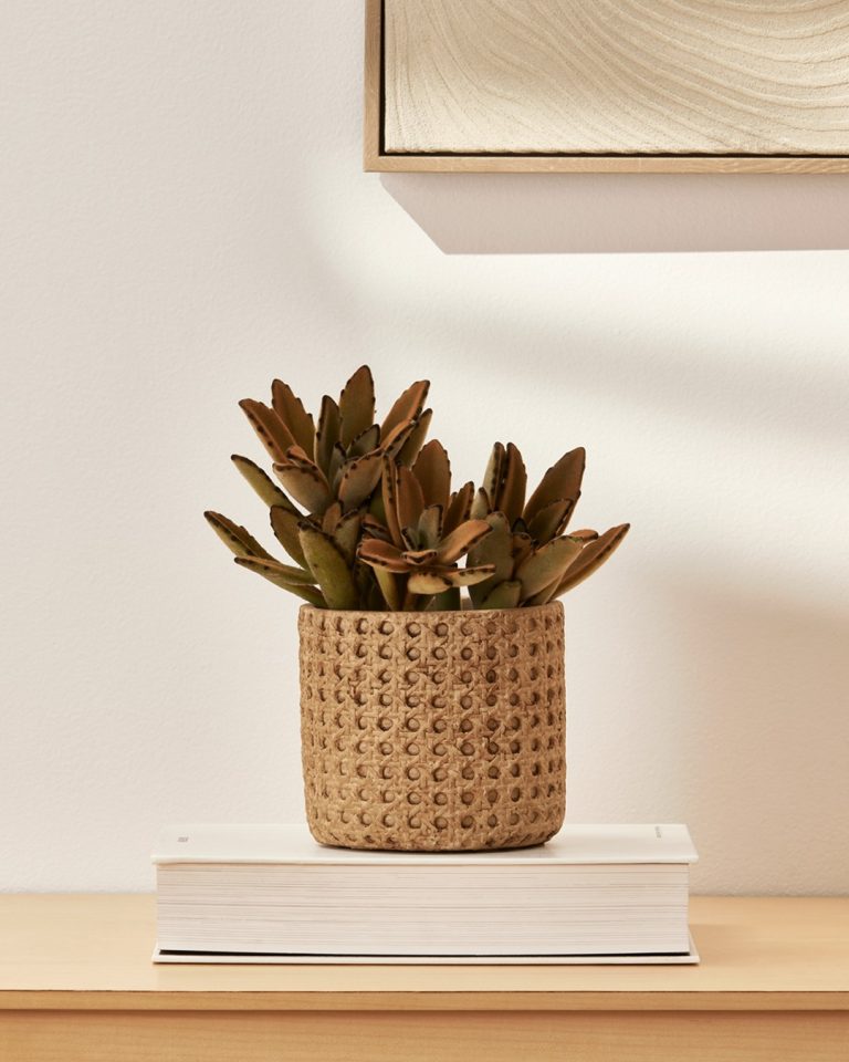 Instagram post from martcollection. This post is in position 4.