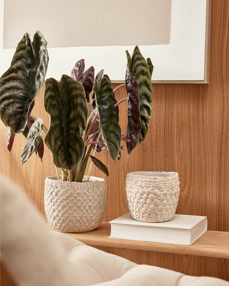 Instagram post from martcollection. This post is in position 1.